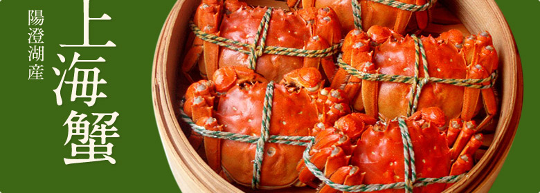 上海蟹