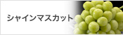 シャインマスカット